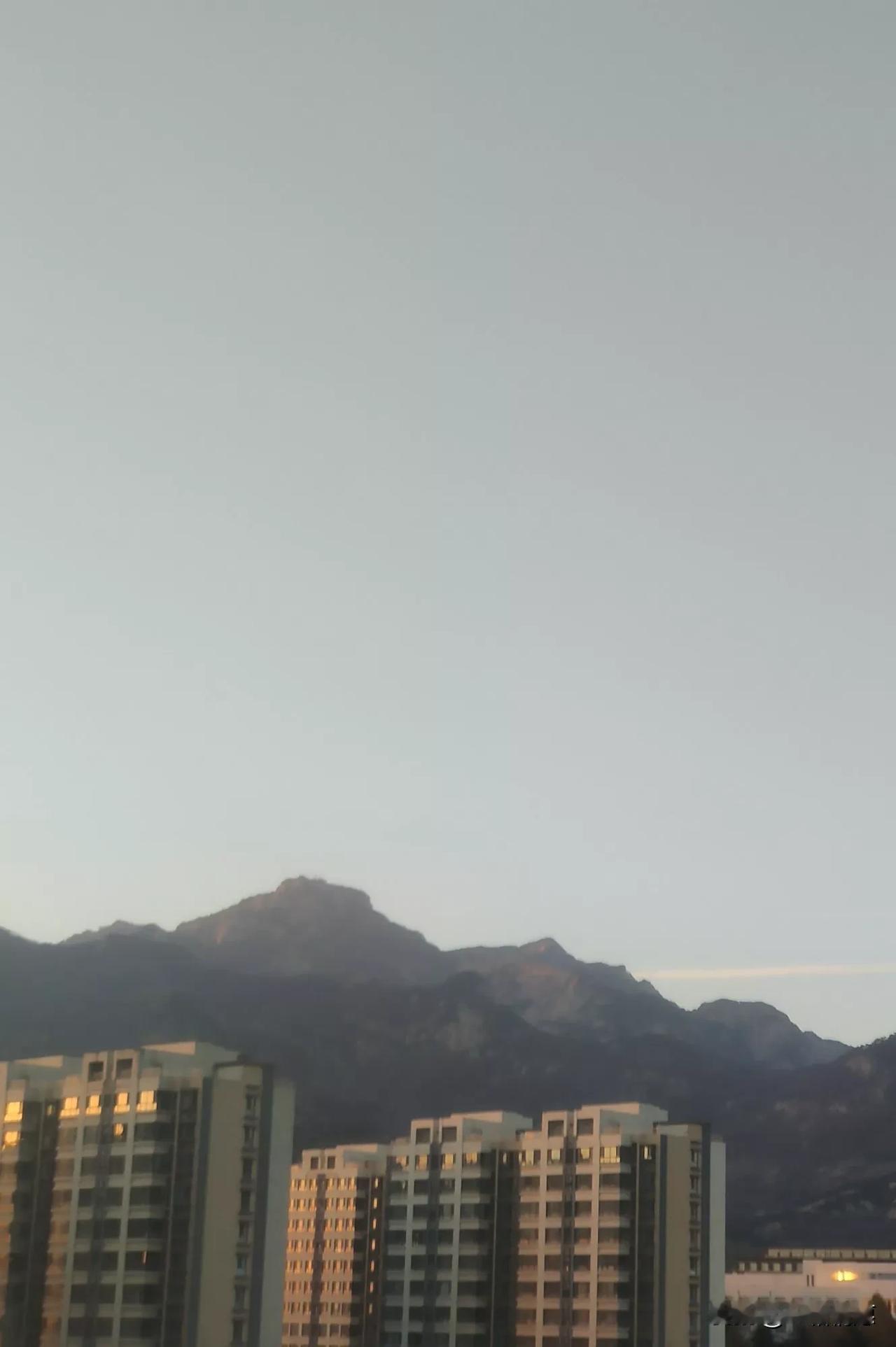 ,可惜现在是初冬了 .