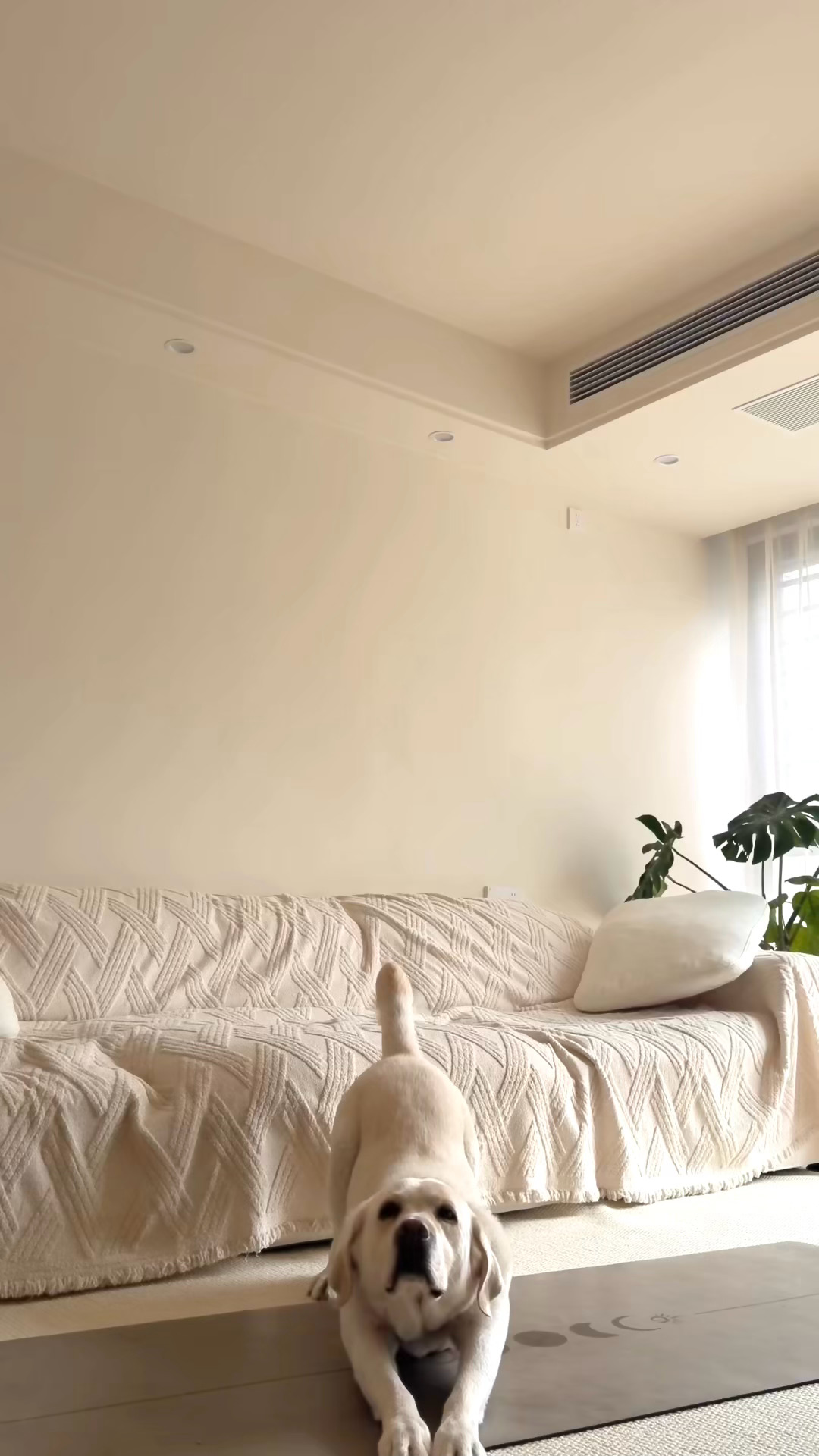 不愧是我的狗仔