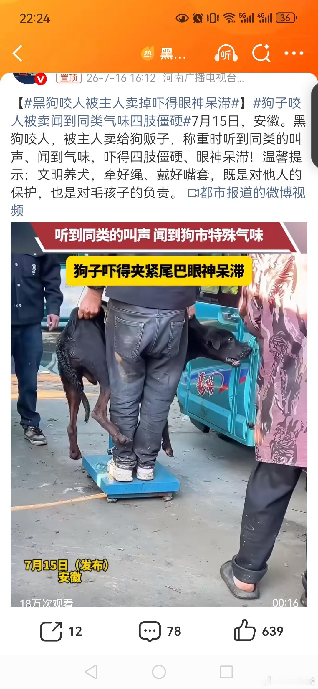 【黑狗咬人被主人卖掉吓得眼神呆滞】狗子咬人被卖闻到同类气味四肢僵硬怪主人养了一只