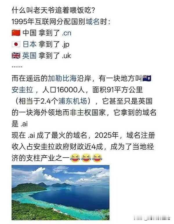赚钱靠努力，也可以靠运气
有了 AI 的域名，这个铁饭碗可以再吃至少几十年了