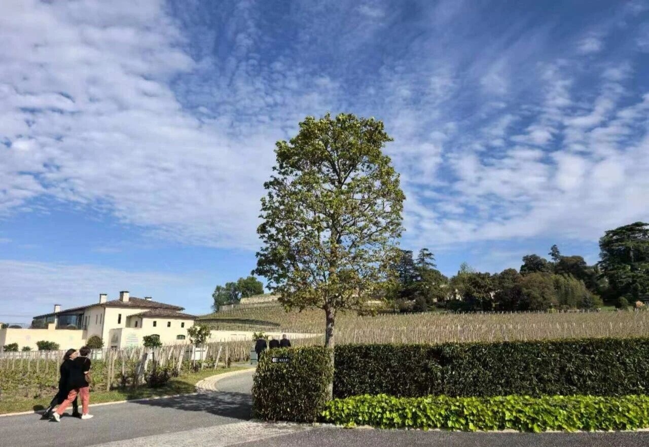 Château PAVIE 