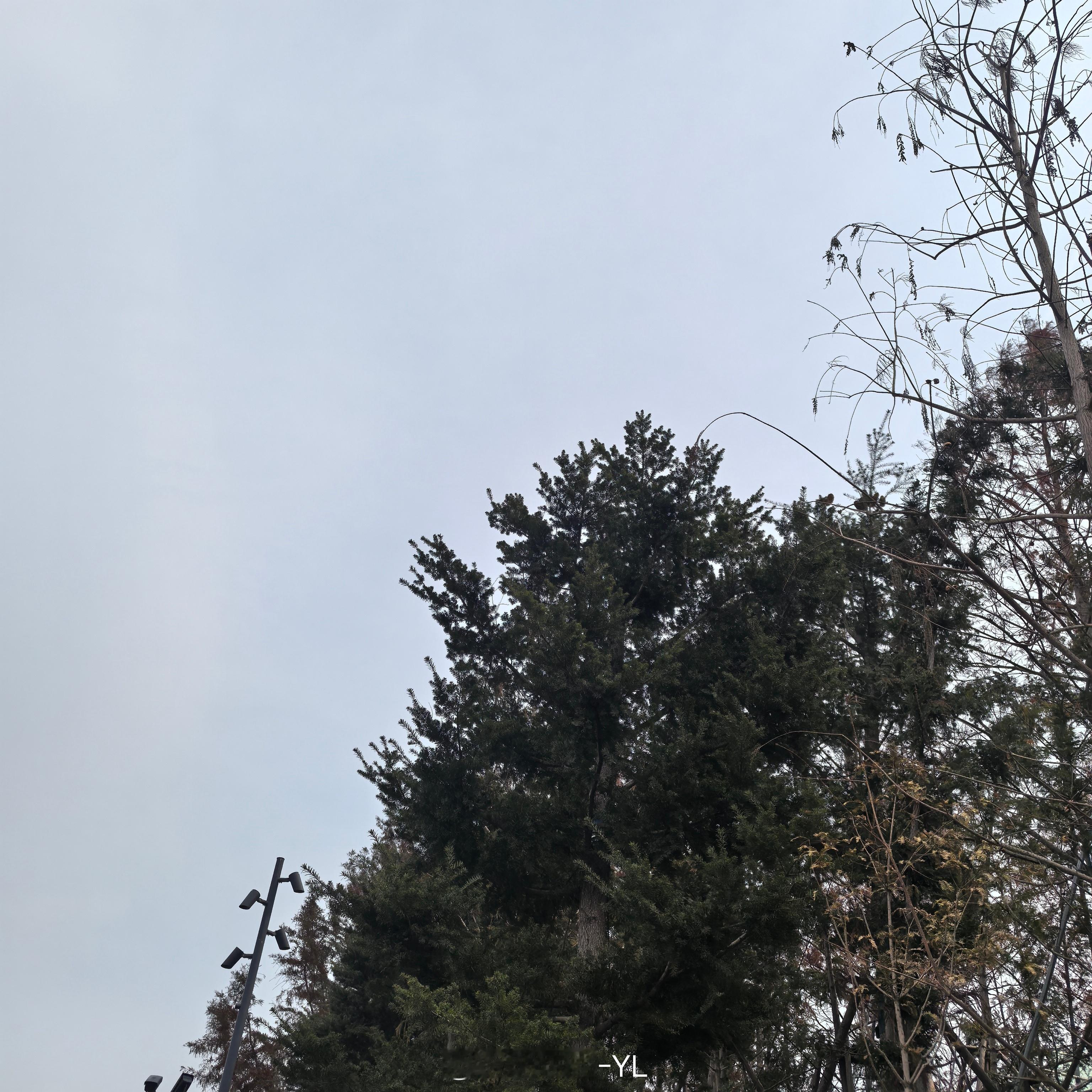 4800CM的山 打卡留言