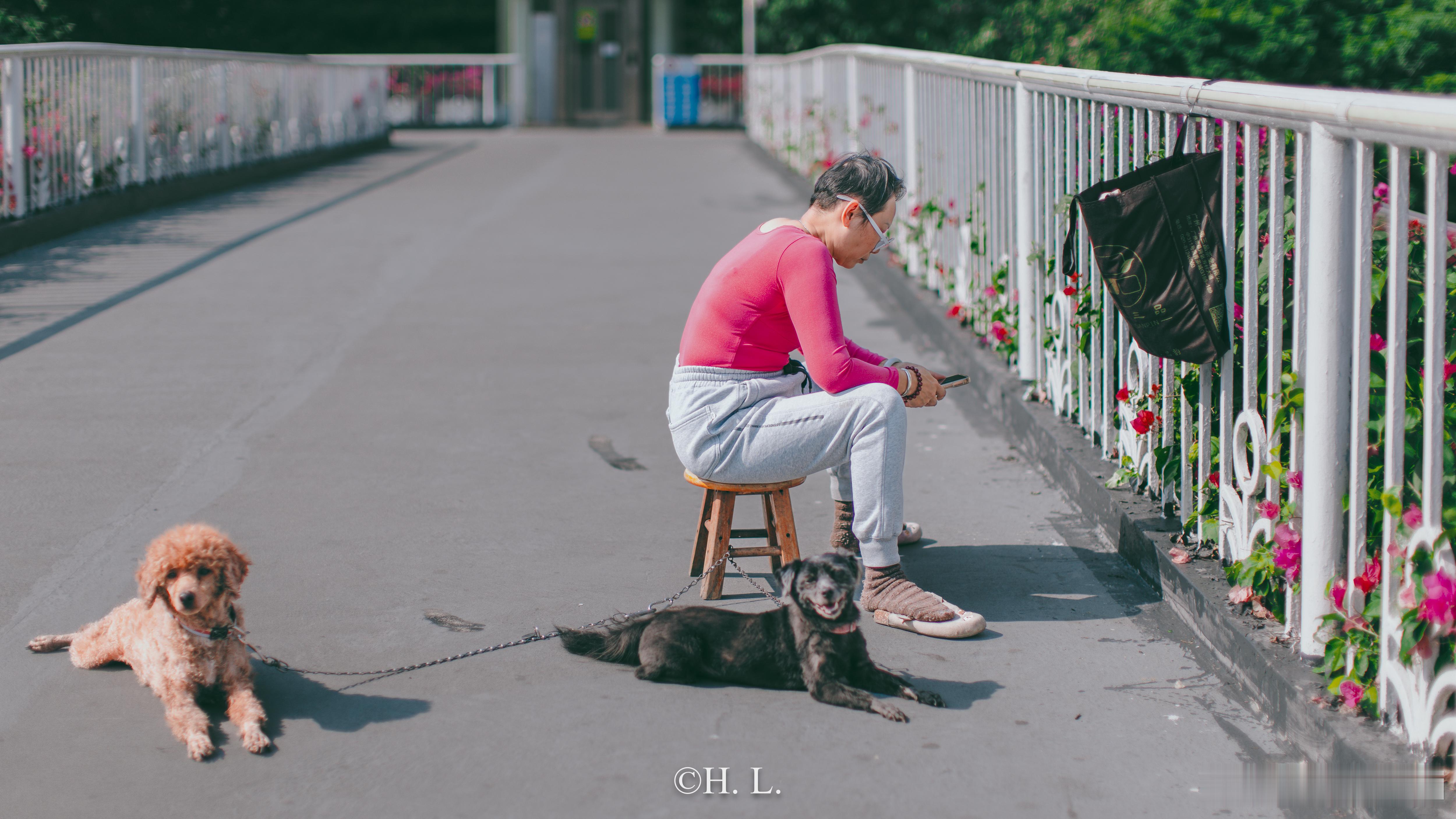 退休后的惬意生活。 