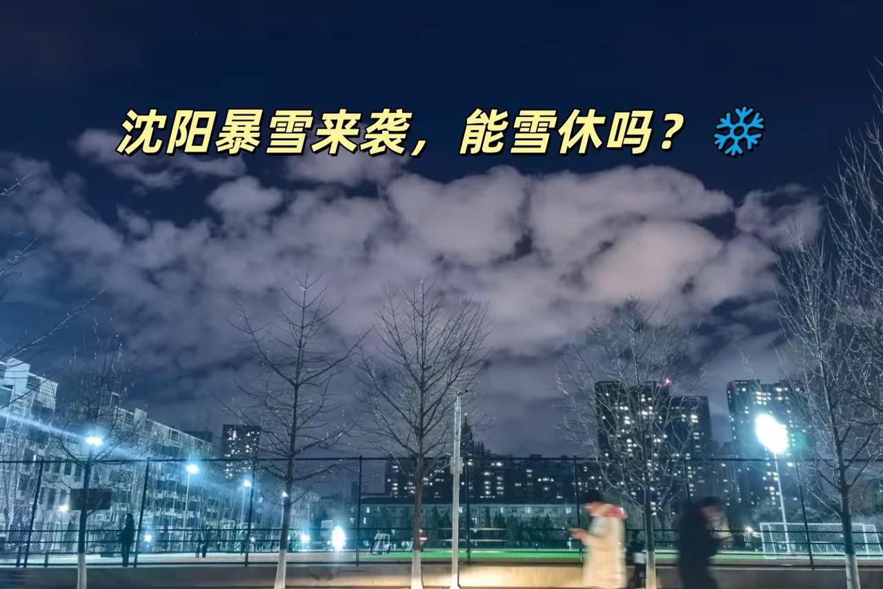 沈阳暴雪来袭，能雪休吗？❄️。今天一拉开窗帘，直接被眼前的景象惊呆了！❄️ 整个