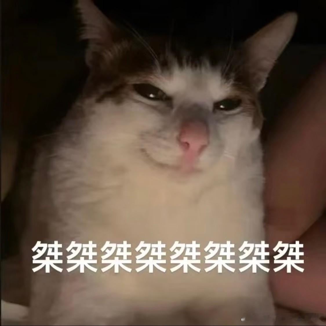 韩沛颖是张嘉益旗下艺人签张嘉益按理说根本不缺戏拍，老板是否要为员工负责，谋女郎和