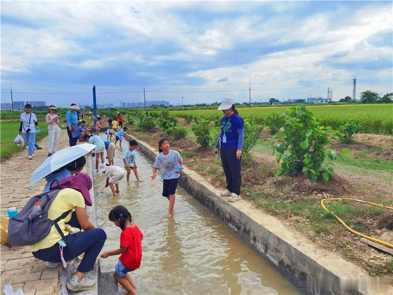 冲天香阵透田园，大地尽披黄金甲。中秋假期，幸福田园犇牛牧场水稻成熟了，喜看丰收粮