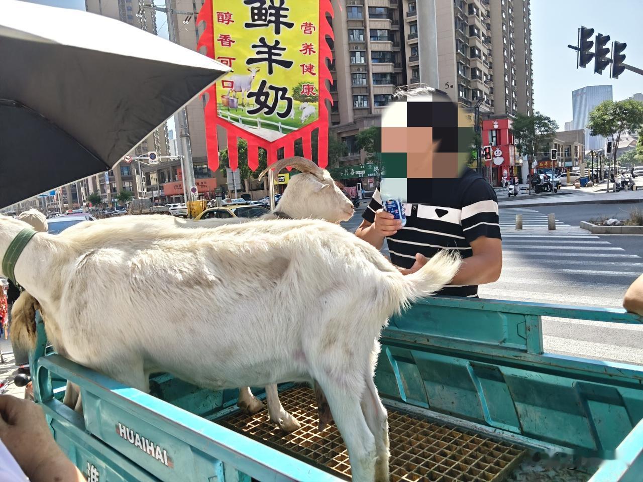 地点:兰州老街
今天是端午节放假的第一天，早上出来去早市逛逛，发现兰州老街附近有