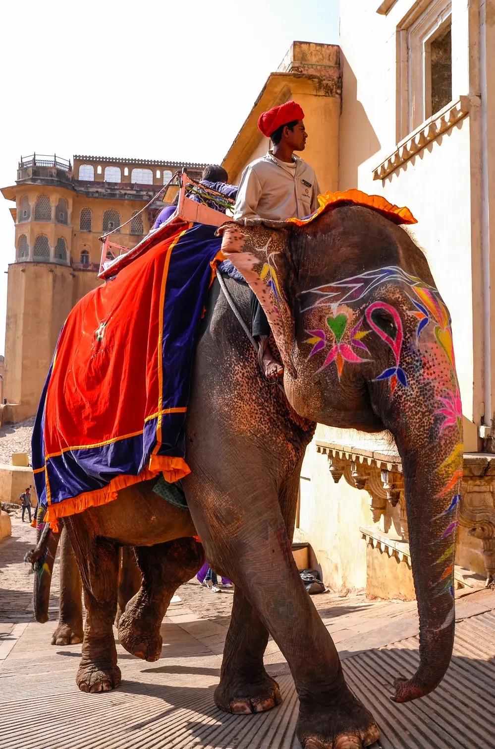 印度克制下吧，宁愿停工也别买中国设备！

环球时报2月20日报道，政府官员告诉路