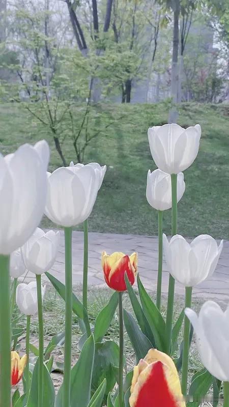 漂亮和善良，你会选择哪个都重要，这种东西没办法用一点来衡量的！