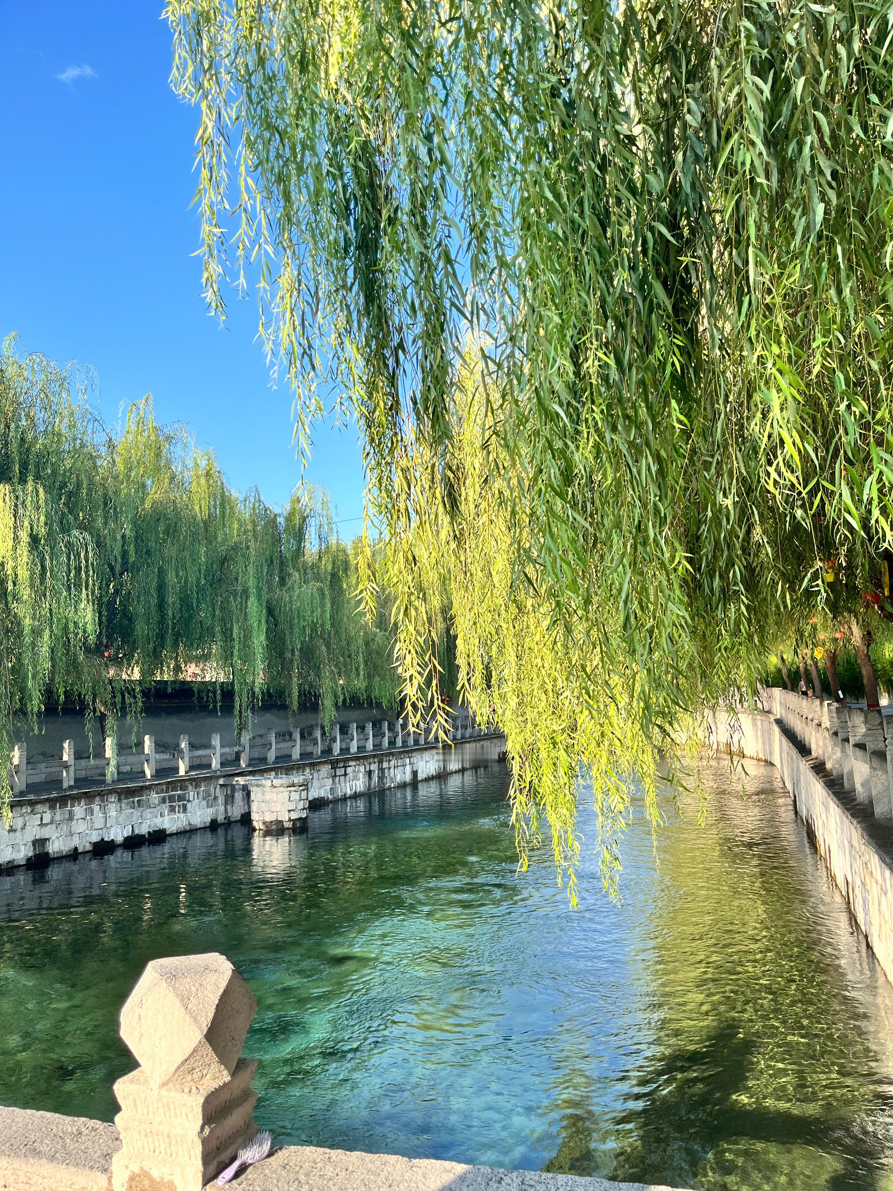“山林从不向四季起誓，枯荣随缘”蕴的那些小破事 ​​​