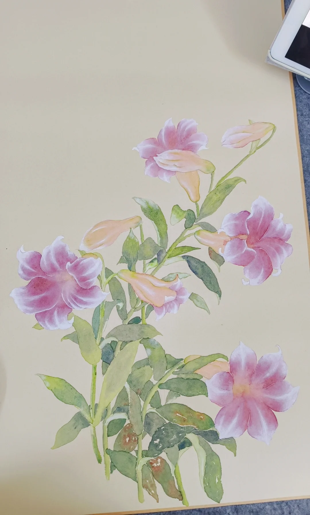 画点小花～🌸