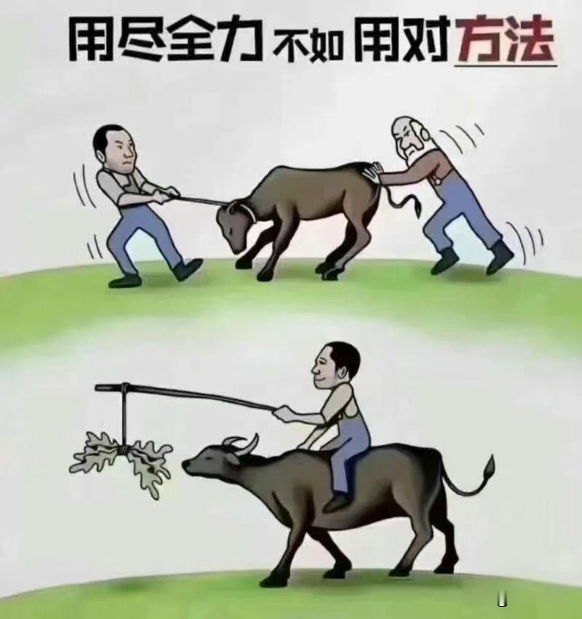 方法不对，努力白费