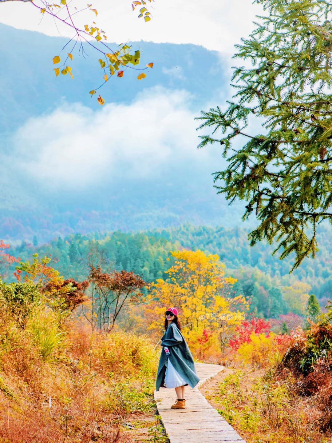 为了这18张图片，我来了皖南🍂✨五彩斑斓的秋