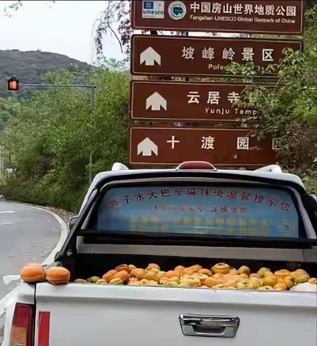 他把一车柿子往景区路边一扔，车门不锁，让付现金的人自己把钱扔后座，然后就去忙大排