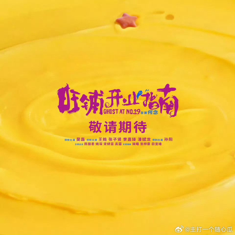 吴磊《旺铺开业指南》其他演员阵容：领衔主演：王皓、张子贤、李嘉琦、潘斌龙特别出演