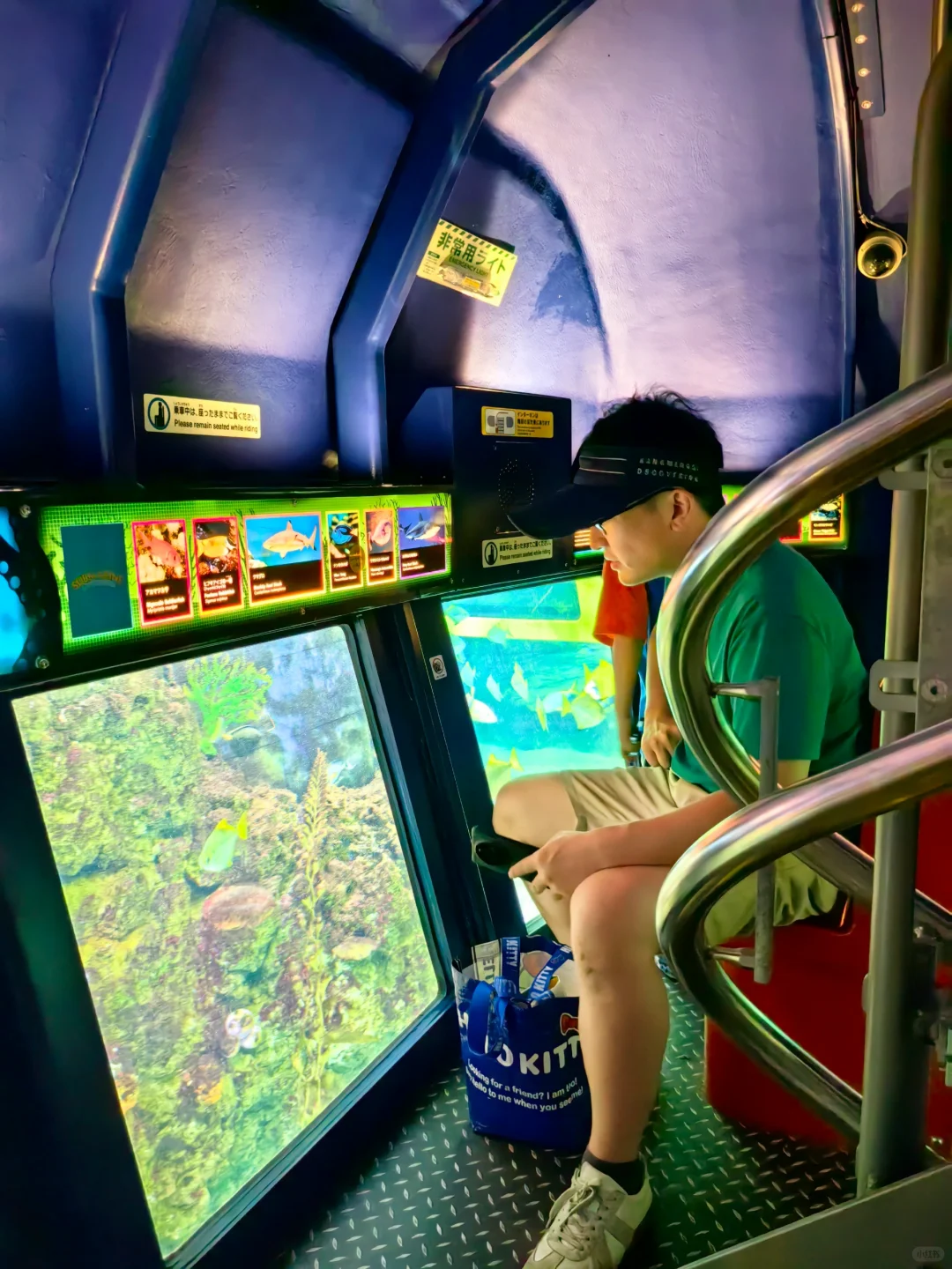 天‼️我在这儿看到了整个国家景色