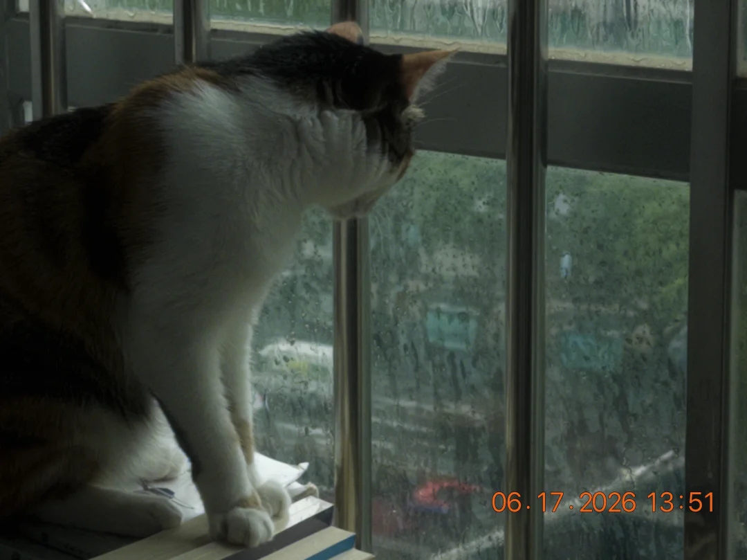 下起了雨