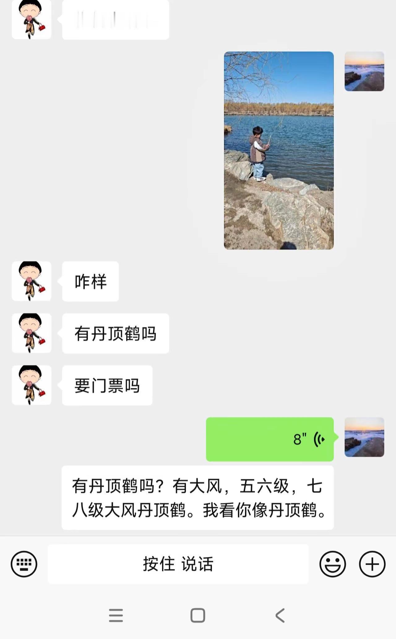 嫩江湾的丹顶鹤在哪呢