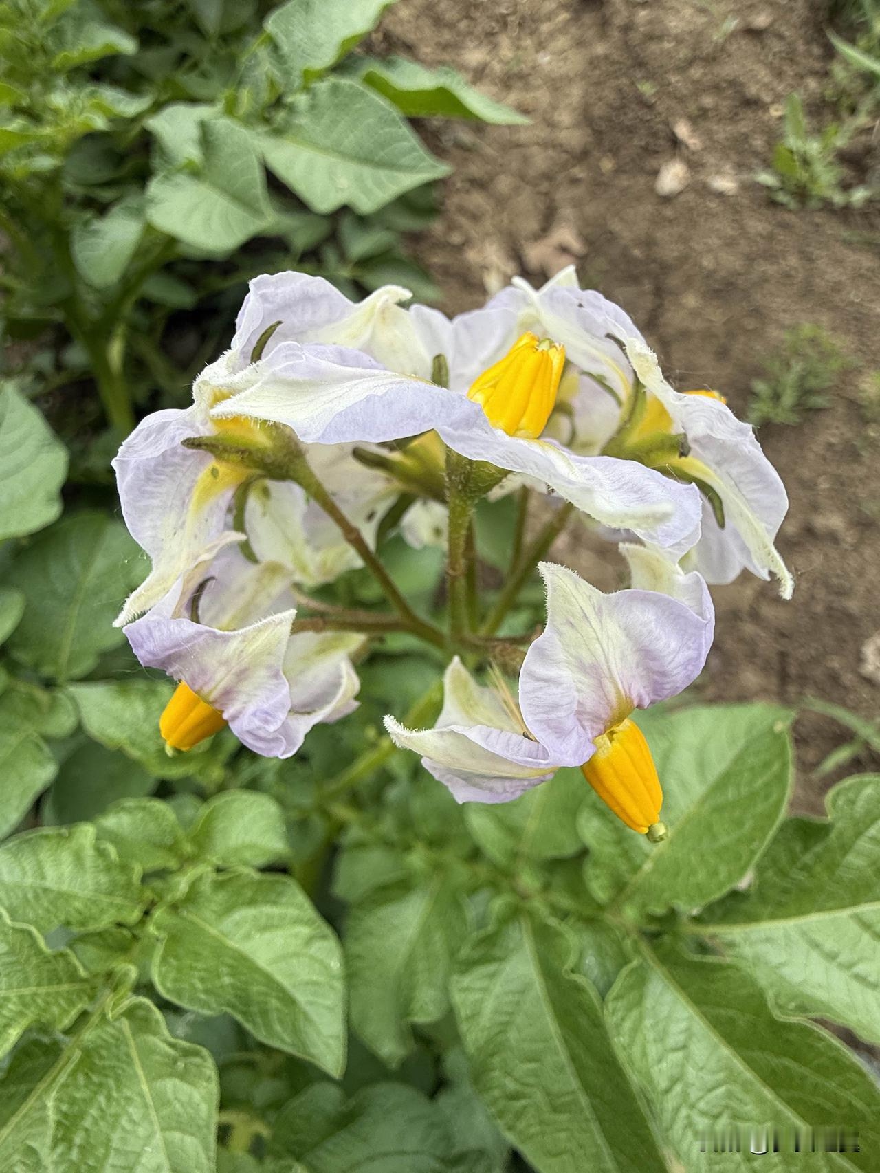 【小对联】
上：……？
下：边缘。