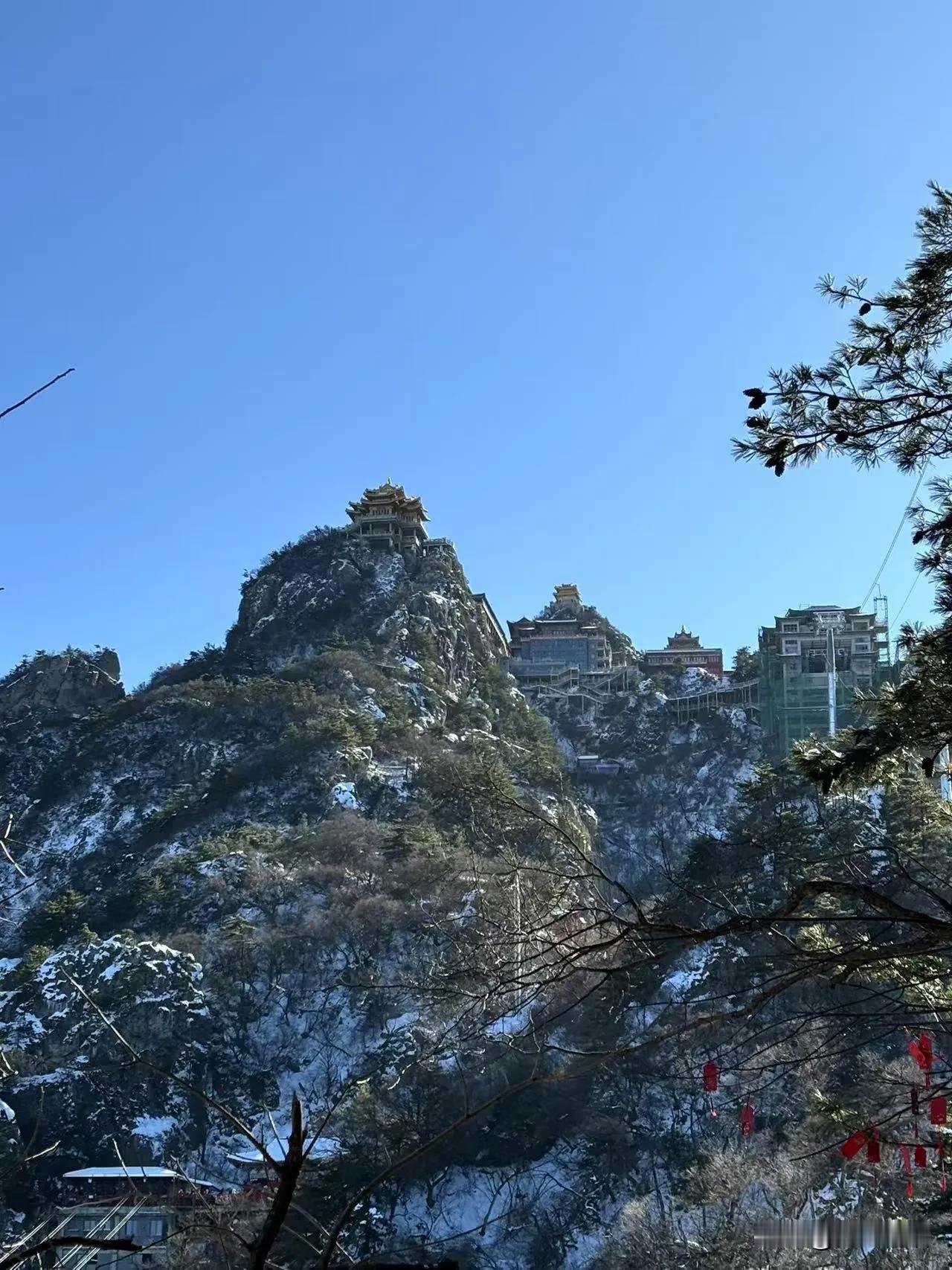 看新闻，那个五十岁去自驾的阿姨回应了目前离婚手续的进展：已经向男方转账了16万。