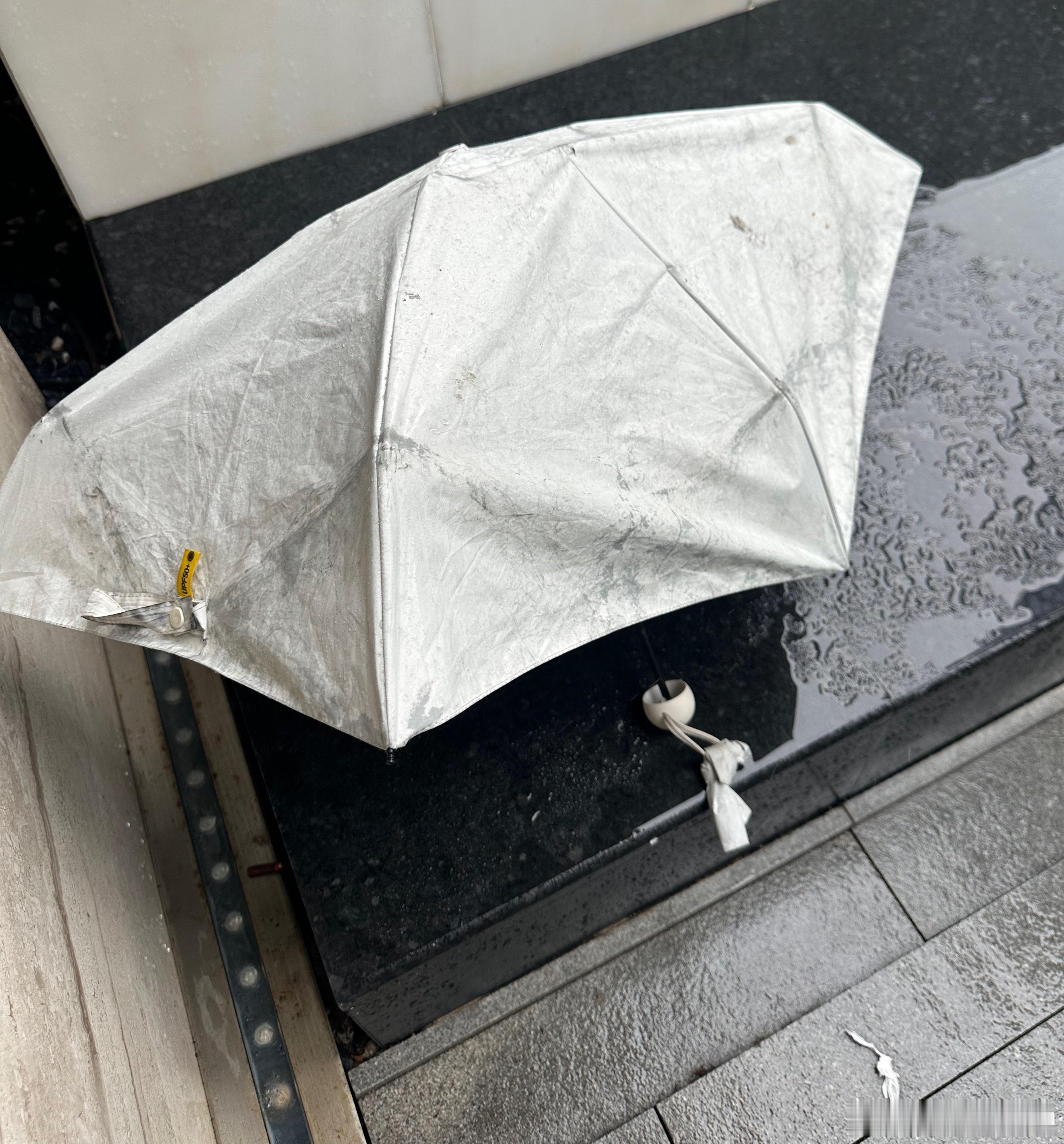 此时此刻，谁懂这样一把伞的含金量… 