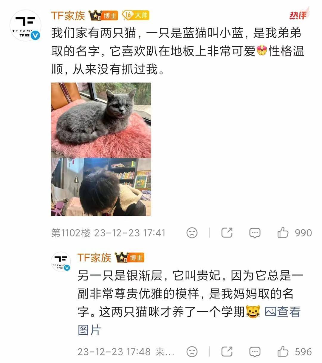 孟婆啊 如果您以后碰到一个叫做魏子宸的男孩 您可不可以在他的碗里多放一些糖 他这