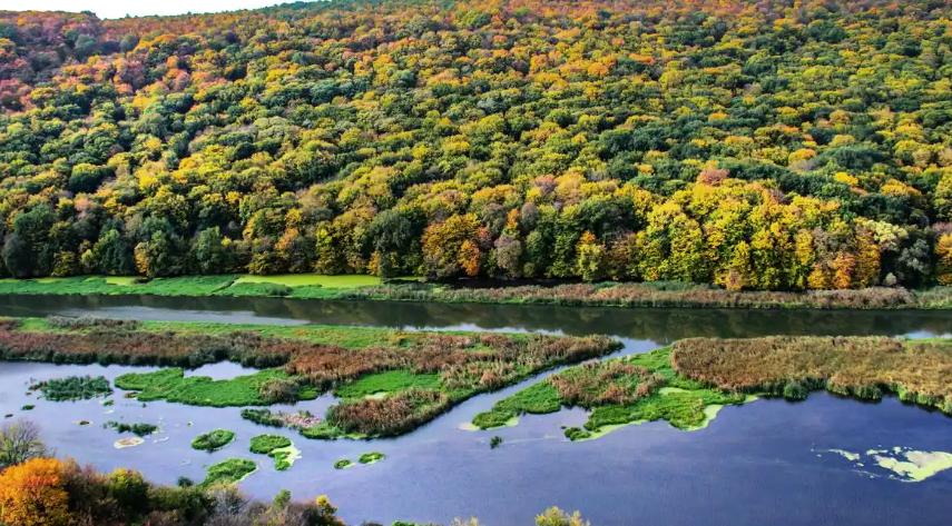 中国森林覆盖率最高的十座城市排行榜

森林是地球的“肺”，更是城市生态的守护者。