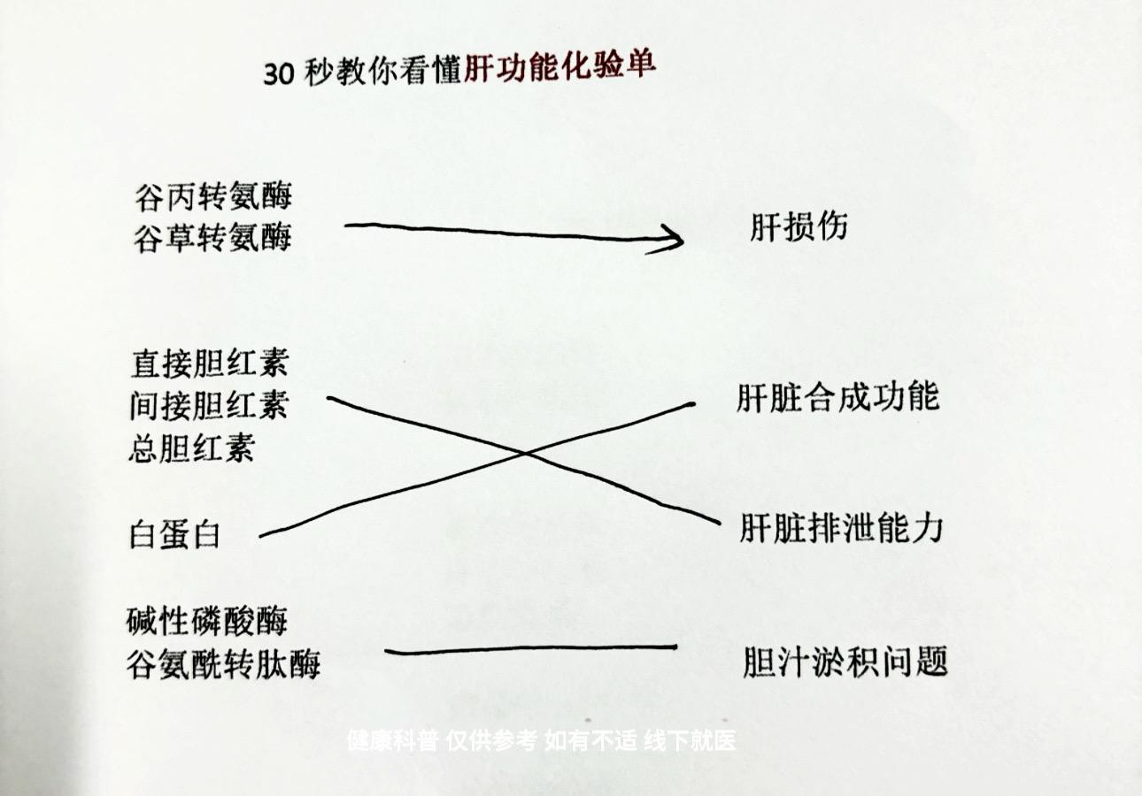 肝功能化验单有四看！！！ 一看转氨酶 
①谷丙转氨酶：其正常值为5~38U/L，它主要存在于肝脏细胞内，该指标增高多提示肝脏受损。 
②谷草转氨酶：能够反映肝脏的受损情况，其正常值为0~40U/L。 
二看胆红素。 
① 血清总胆红素：包括直接胆红素和间接胆红素，其正常值为1.7~17.1umol/L。 
②间接胆红素：溶血性疾病、肝脏疾病、外伤等因素会导致胆红素释放入入血，其正常值为1.7~13.7umol/L。 
③直接胆红素：增高常见于一些梗阻性疾病，导致胆汁逆流入血造成。直接胆红素正常值为1.71~