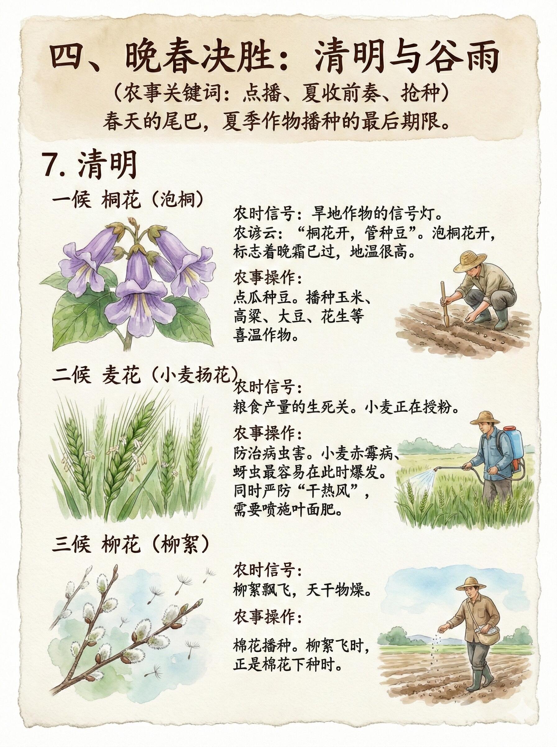 【春晚贺花神余韵】从十二花神到二十四花信风的顶级浪漫 