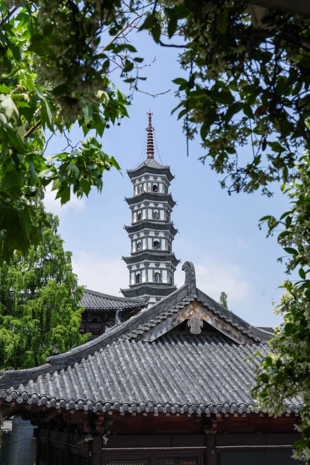 从古城烟火到舌尖鲜辣🌶️衢州这样玩才够味