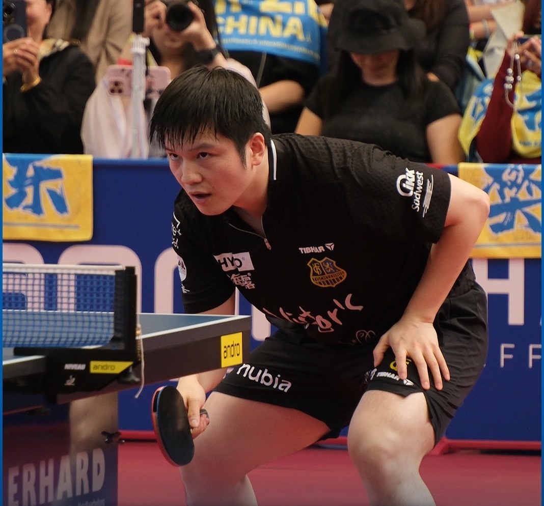 12月继续看樊振东比赛！在结束了征程后，樊振东将在12月继续为德甲俱乐部萨尔布吕