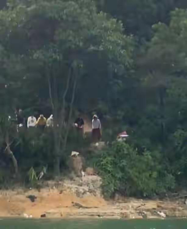 在水库放生猫？这是造了多大的孽，才会想到放生这一出？

我实在不明白，这些年怎么