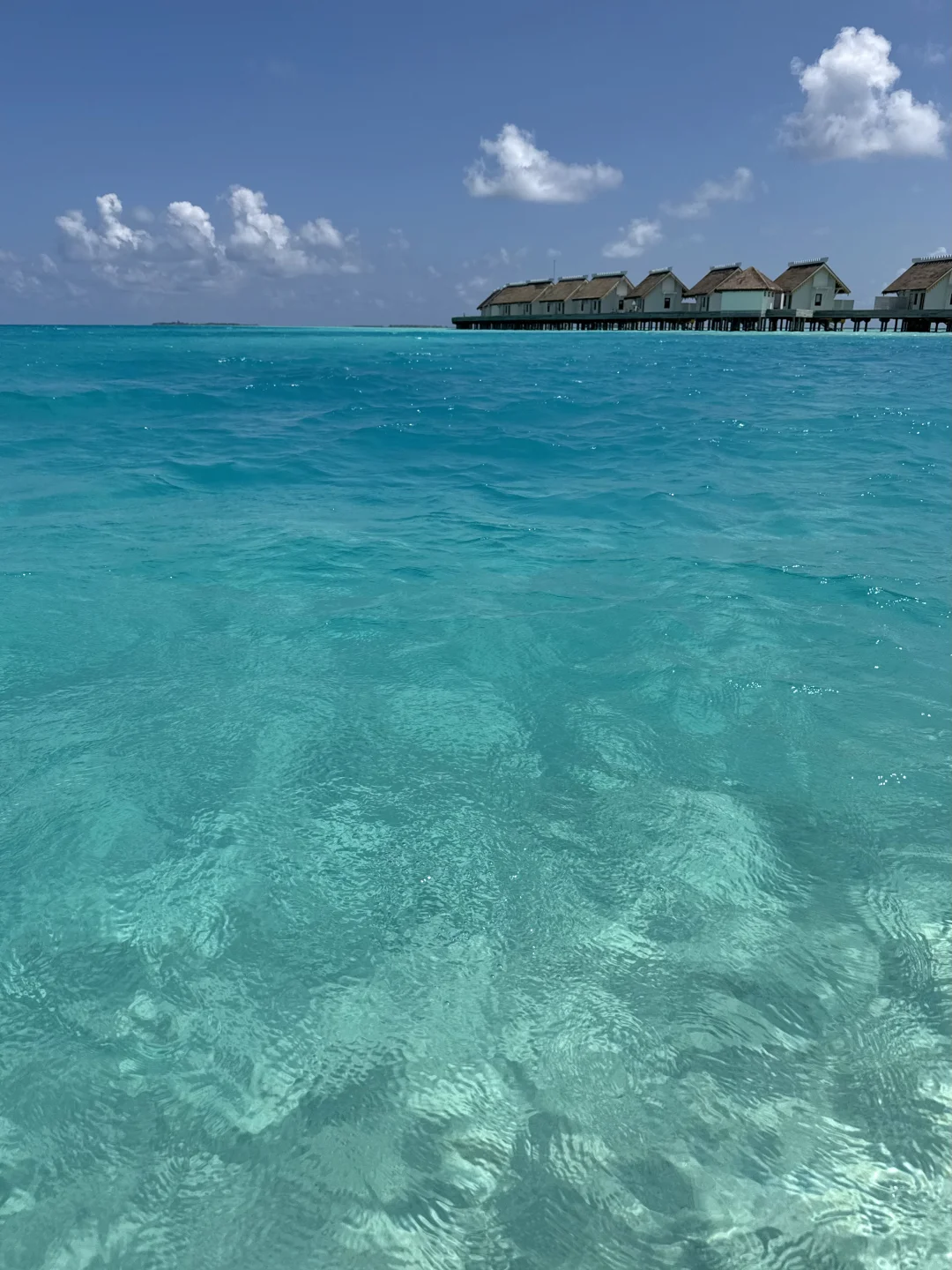 只要💰210=马累过渡一日游最完美的安排