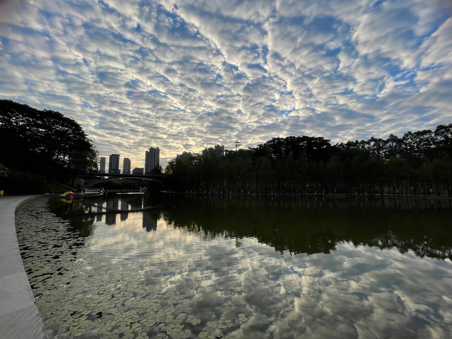 不知道又多久没有运动了。我每天提醒自己：40岁了，运动得放在首位啊！然后每天潜意