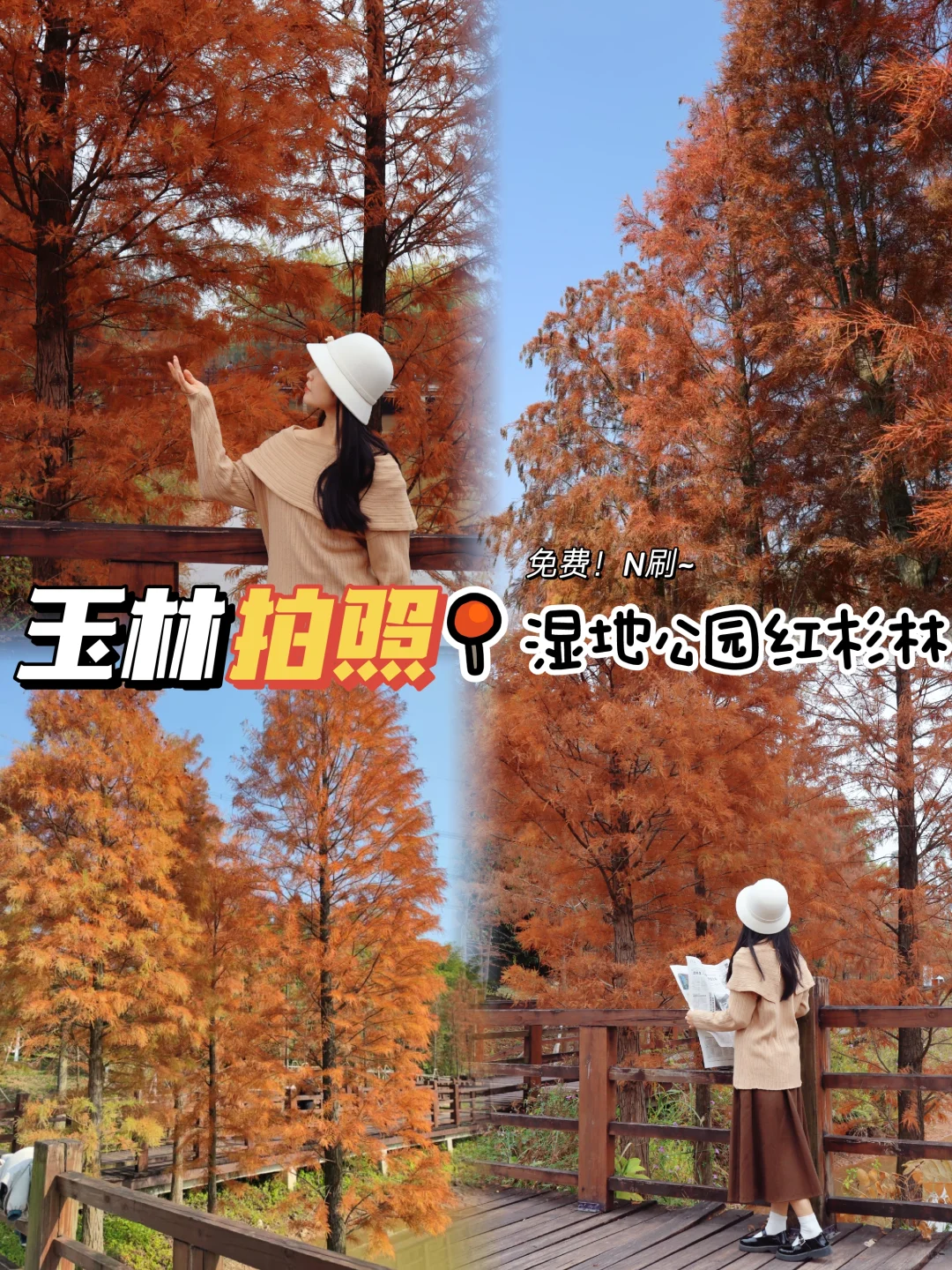 玉林拍照/免费打卡🔥2025最新红杉林攻略