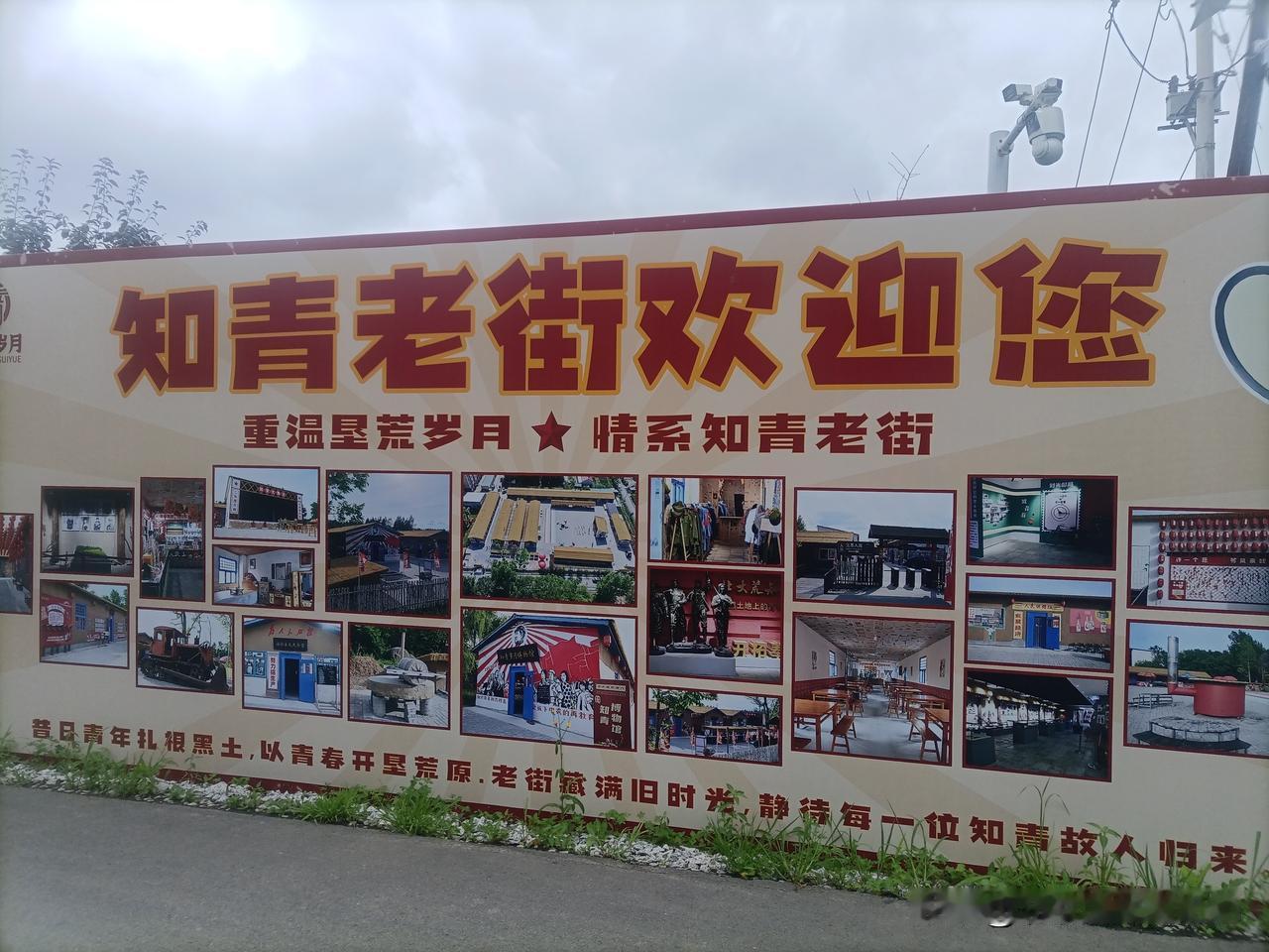 站在咱们中小股东的视角来看：市场上别的资金、机构、散户，都没有能力去改财报的核算