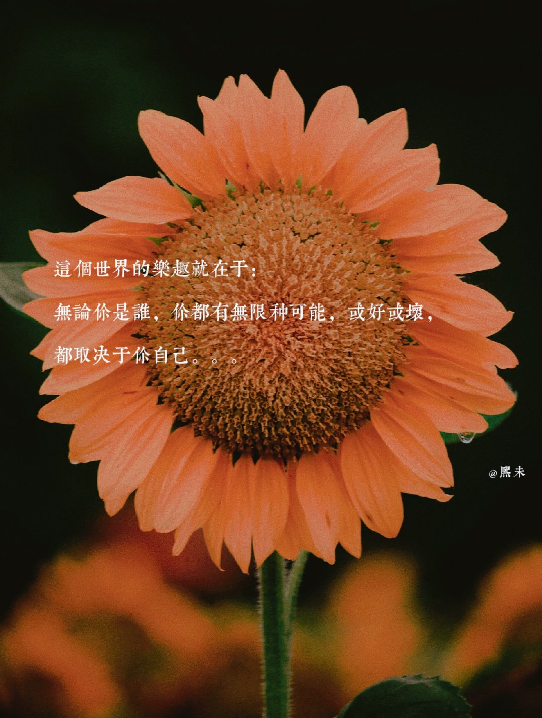 这个世界的乐趣就在于：无论你是谁，你都有无限种可能。不必被过往的经历框定人生轨迹