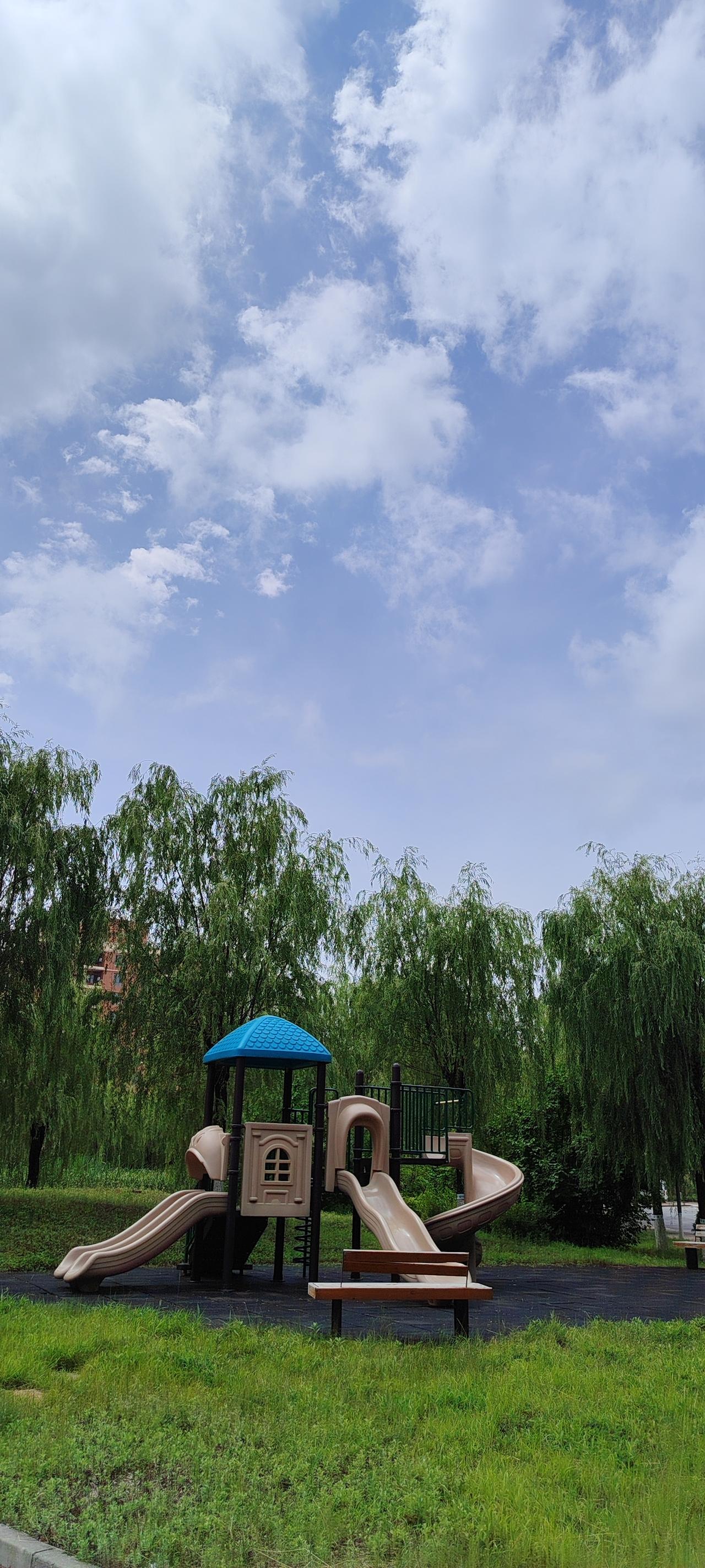 鱼离不开水，人离不开什么？鱼离水则身枯，人立世则需精神之锚。人离不开根与光，那是