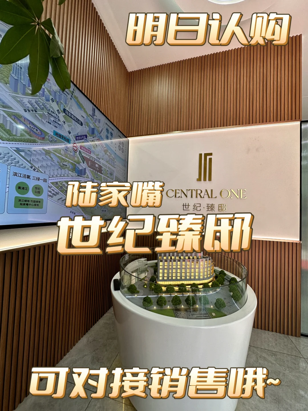 【突发取证】陆家嘴世纪臻邸明日认购❗❗❗