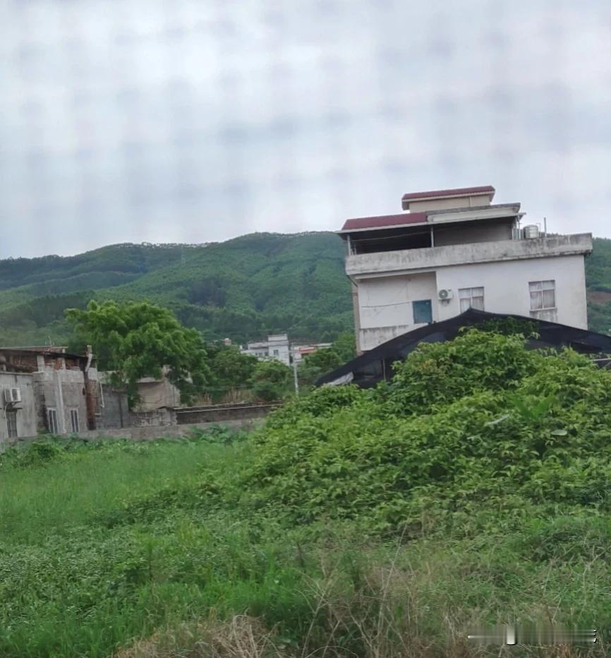 今天早上我8点才起床，起床的时候发现婆婆已经不在家了，我以为她又去卖菜了呢。

