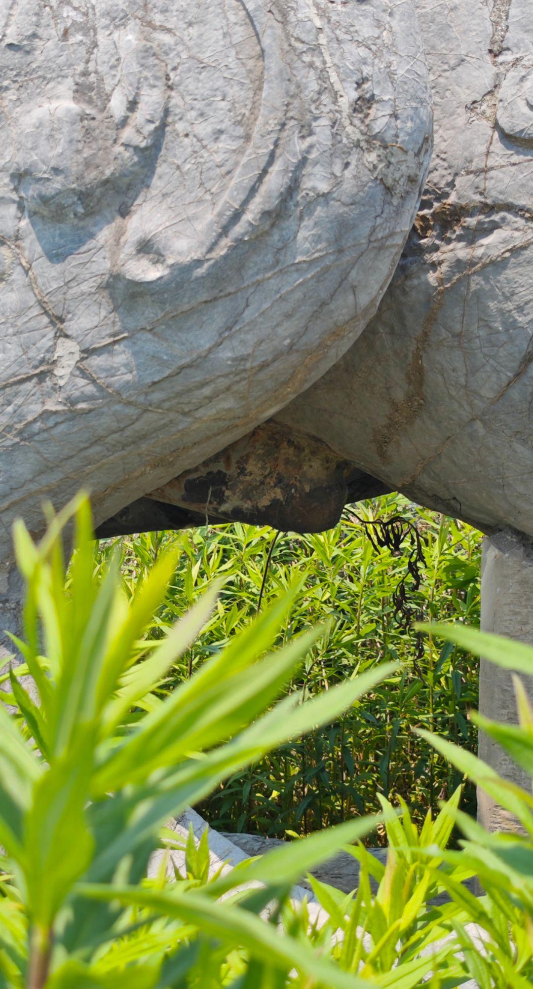 丹阳南朝石刻石兽细节 打卡丹阳南朝帝陵石刻石兽细节南朝石刻雄兔脚扑朔...