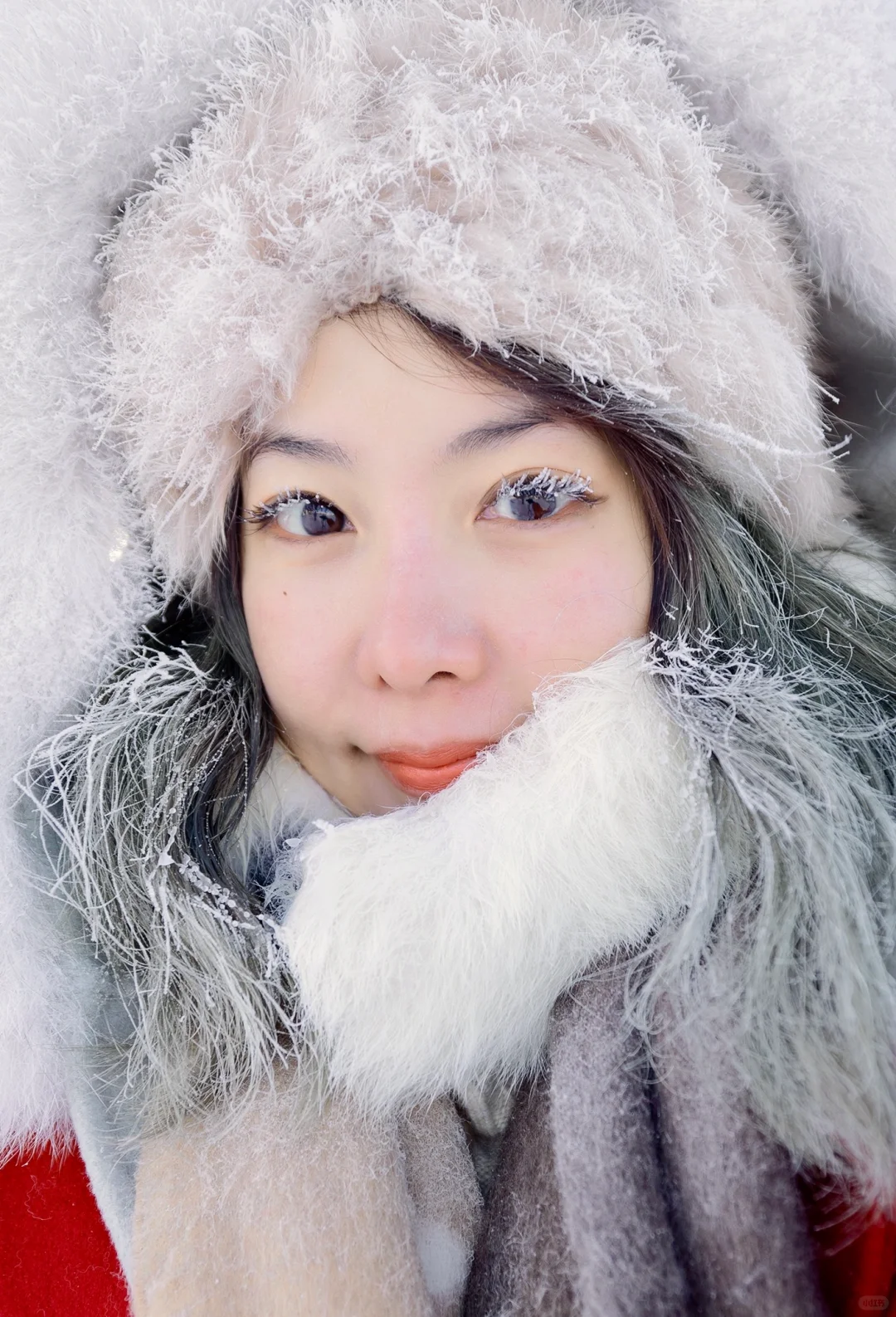 在禾木山顶蹲3小时冻成这样，我拍到了什么？