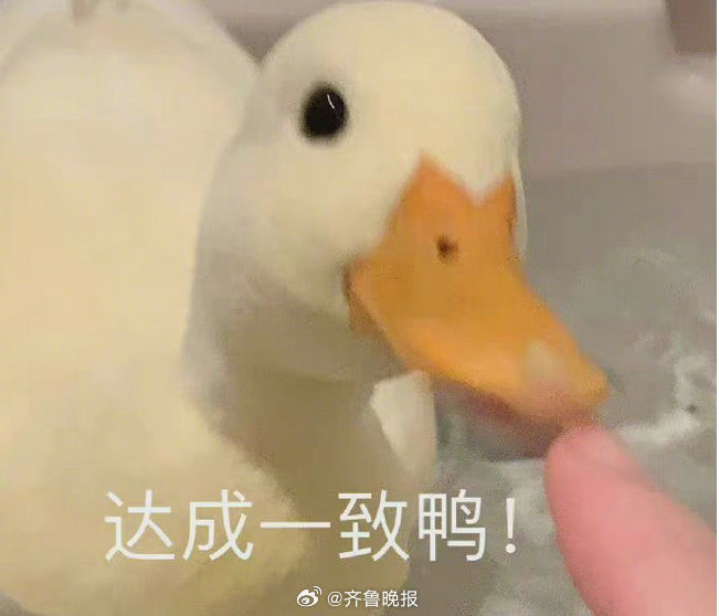 不必去想宏大的事情，过好当下的每一天，未来自然会来。#晚安#