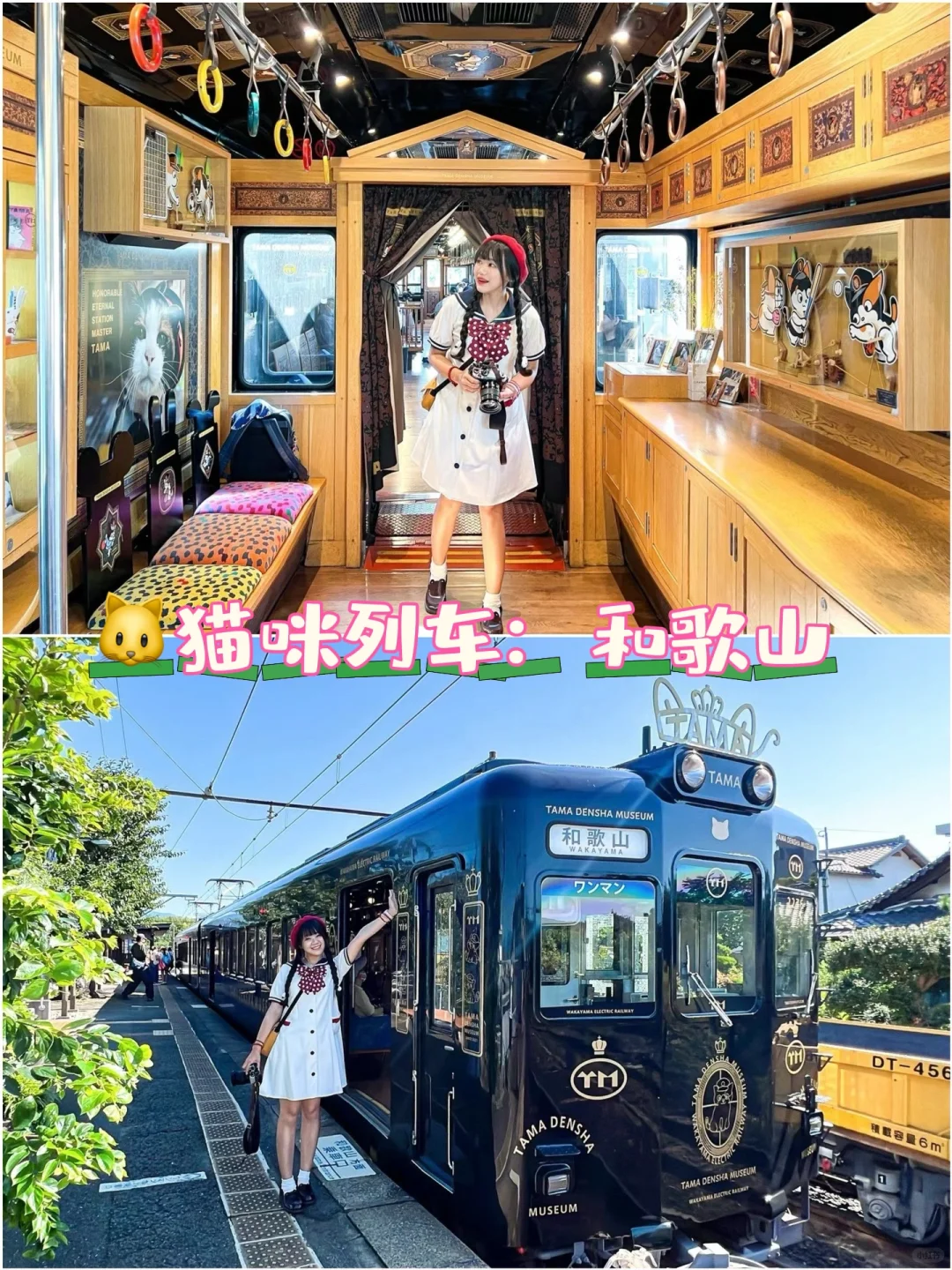 🎏和歌山的猫咪火车：小玉电车🚃