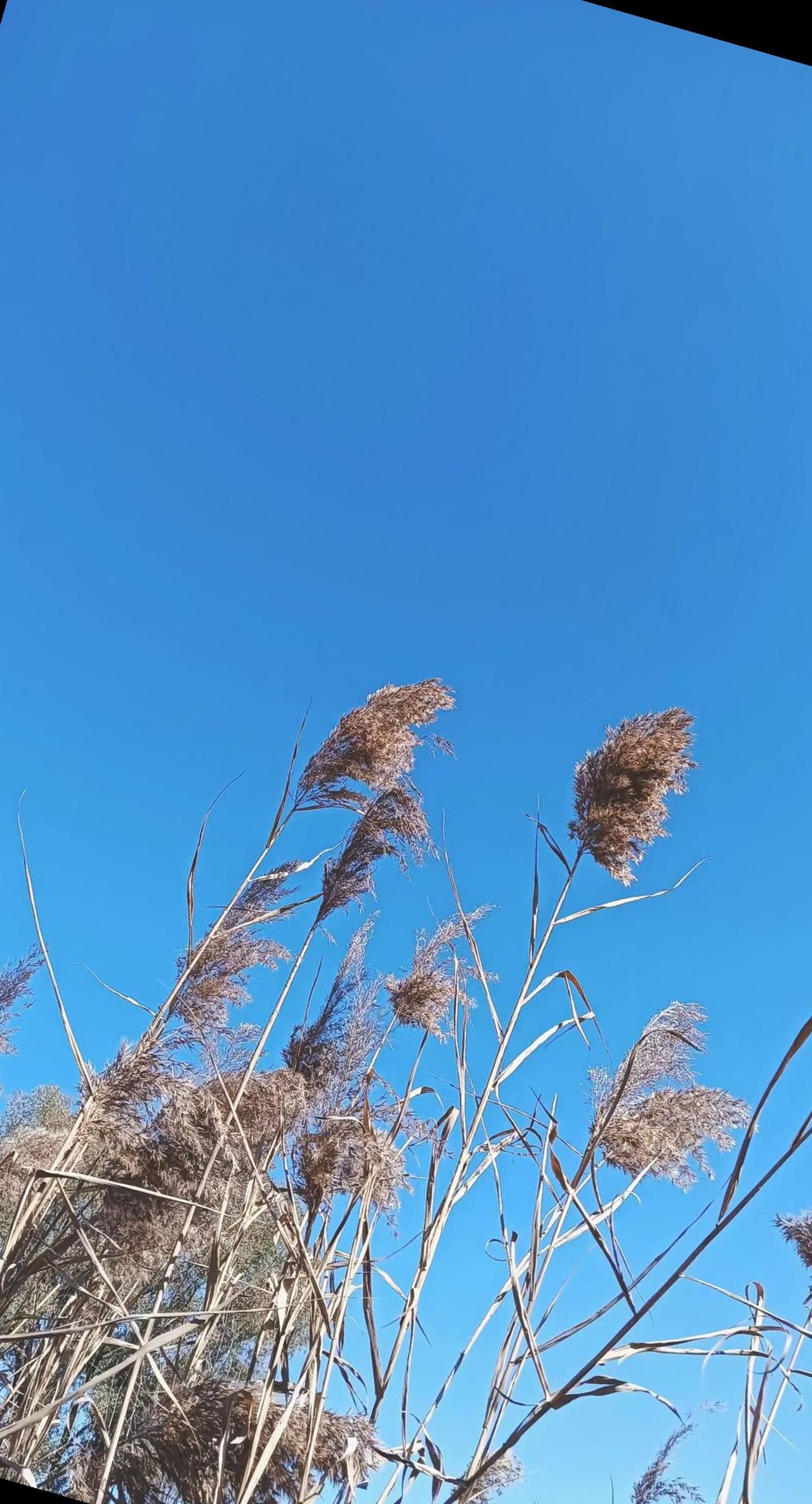            五元车费

                     文/