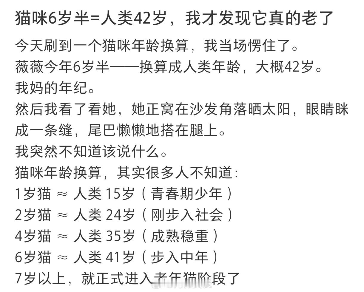 突然意识到我的猫已经6岁了 ​​​