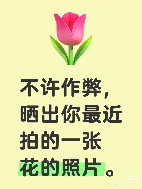 晒出你最近拍的一张花的照片