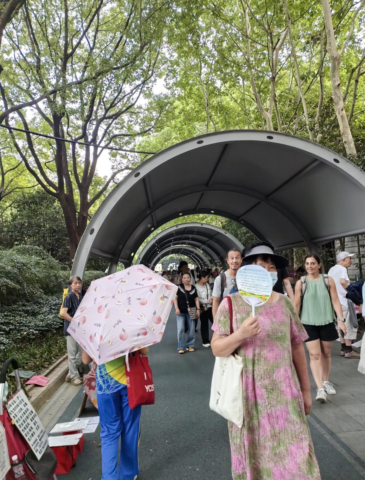 0元玩转这座城上海人民公园相亲角，每个星期六星期天，好的好的的家长从中国的各个城