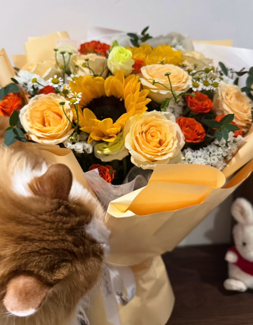 携猫咪祝宝贝们七夕快乐今天的花束是一举夺魁（葵）🌻，祝我事业蒸蒸日上七夕节，乞