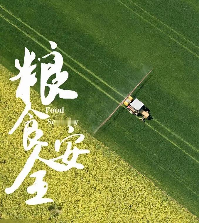 农为邦本，本固邦宁，“民以食为天，食以粮为先”，粮食安全在三农领域至关重要，它是
